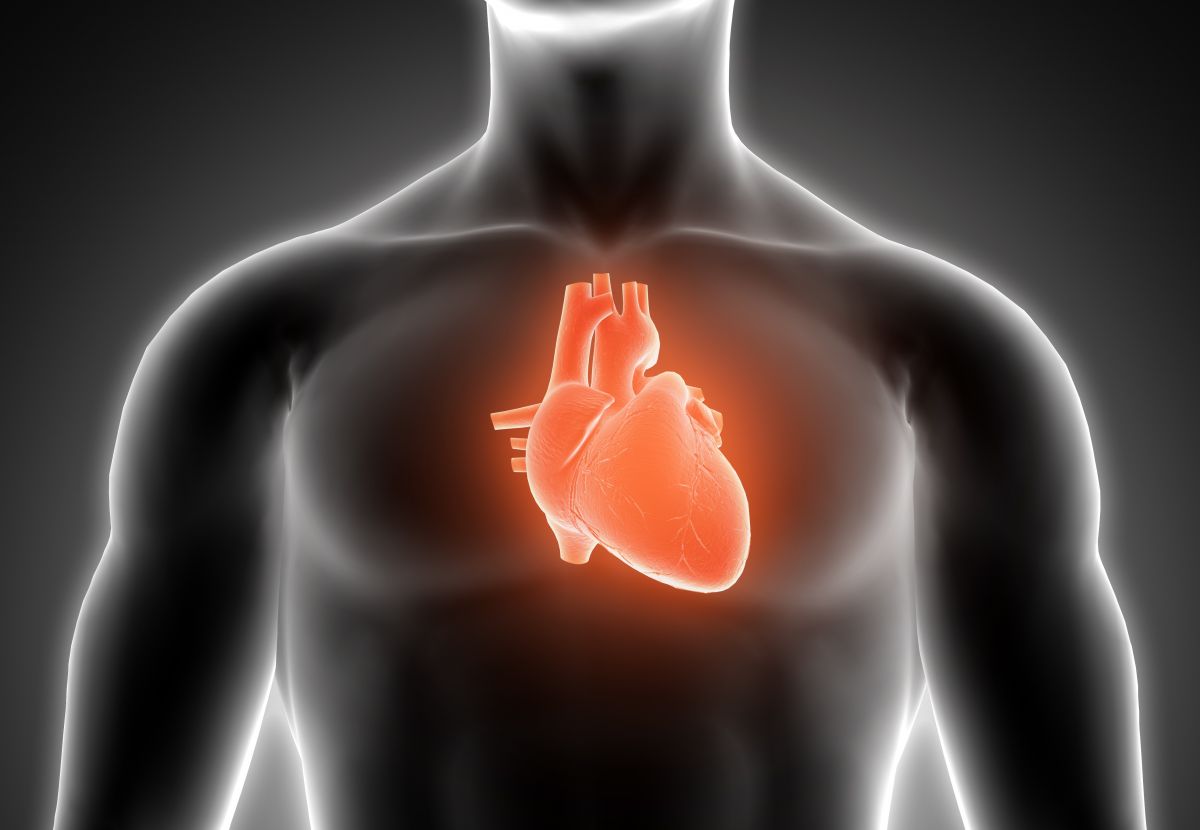 Juvenil promove curso de reanimação cardio