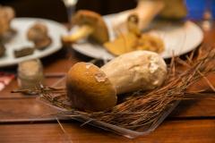 Confraria Leopoldina