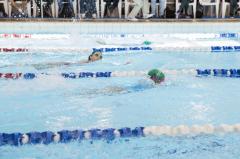 Nadadores da ALJ participam do Torneio Sul-Brasileiro Mirim e Petiz